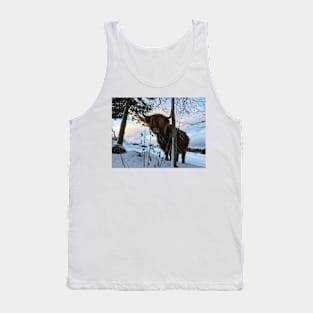 Scottish Highland Cattle Cow 1620 Tank Top